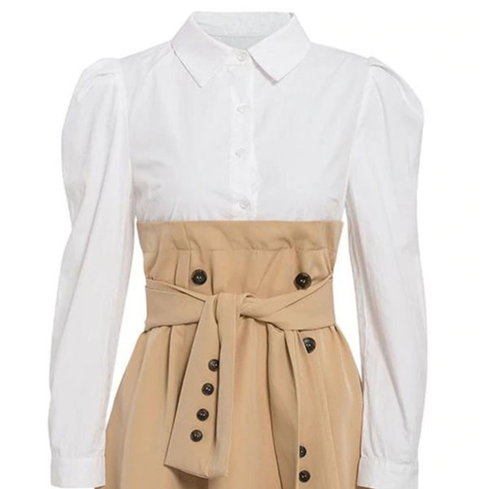 ๐ Tan Color Block Belted Button Front Dress - Picture 5 of 8